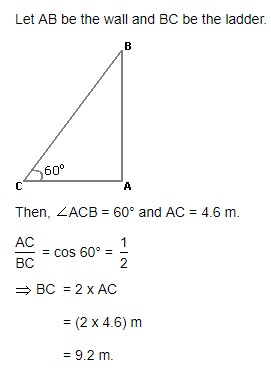 The length of the ladder is