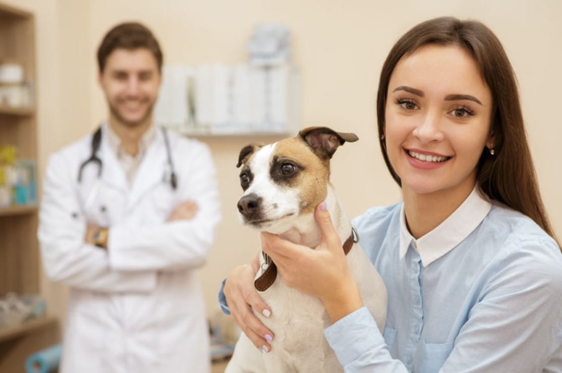 Understanding Vet Visit Costs