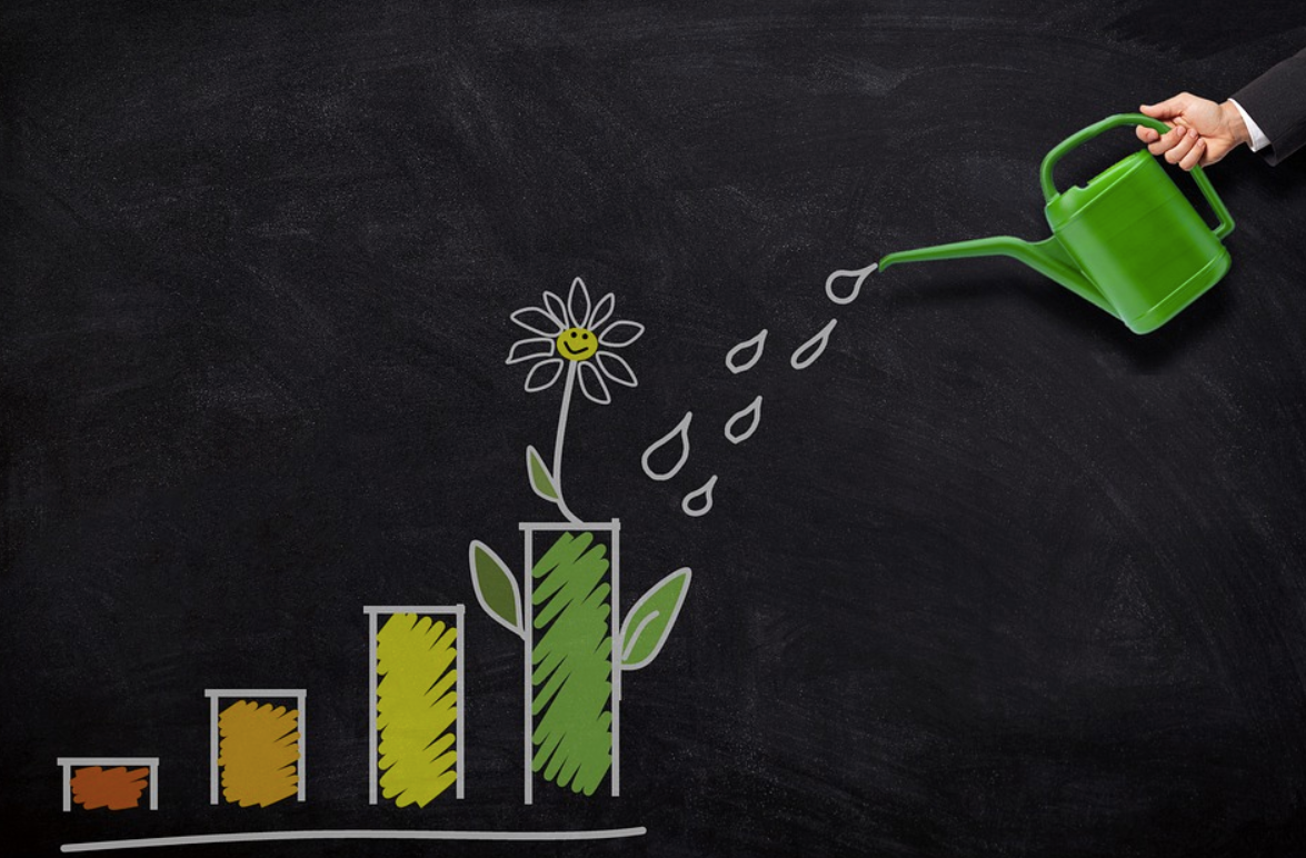 What Is a Non-Amortizing Loan?